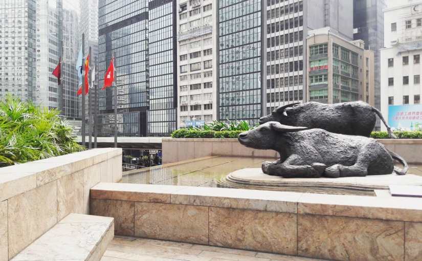 “Where are the&nbsp;bulls?”