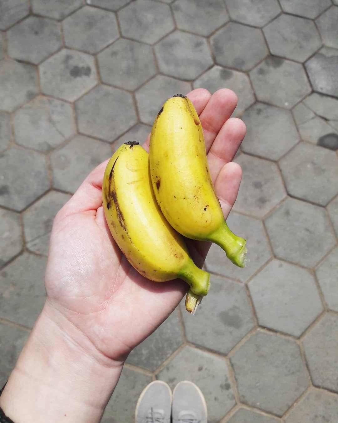 Bananas in Cambodia